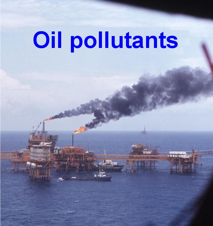 Pollutants publications